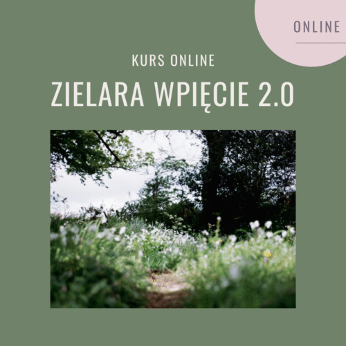 ZIELARA WPIĘCIE 2.0 (płatność jednorazowa)